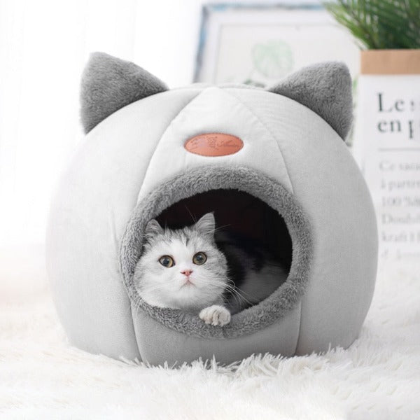 Winter Cat Cave