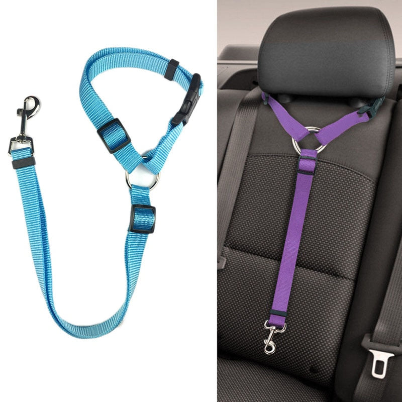 Dog Seat Belt