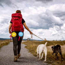 Load image into Gallery viewer, Collapsible Pet Bowl
