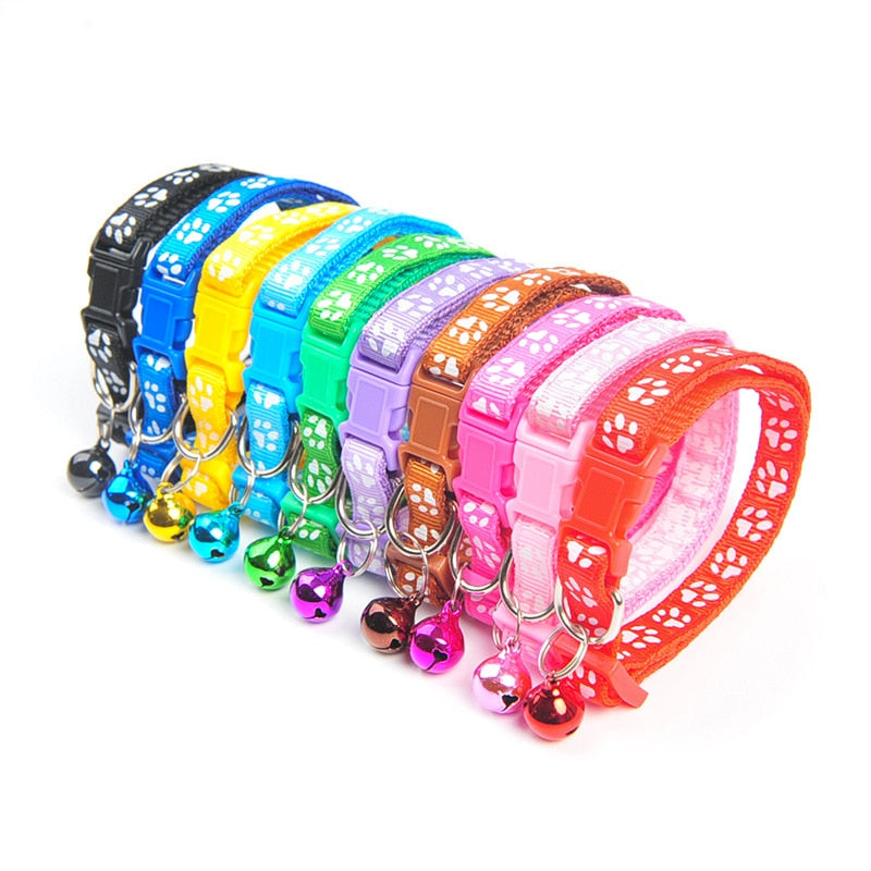 Colorful Cat Collar