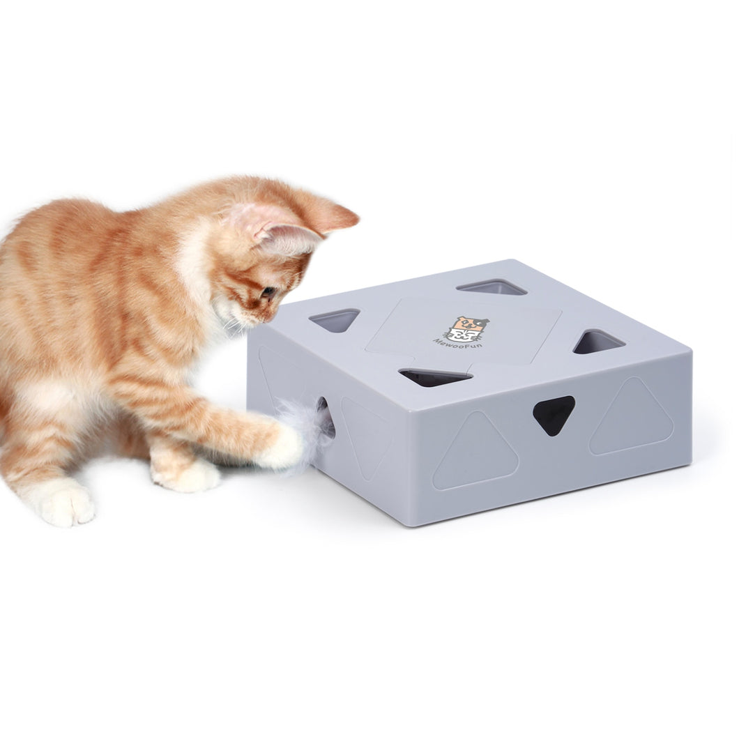 Interactive Kitten Toy